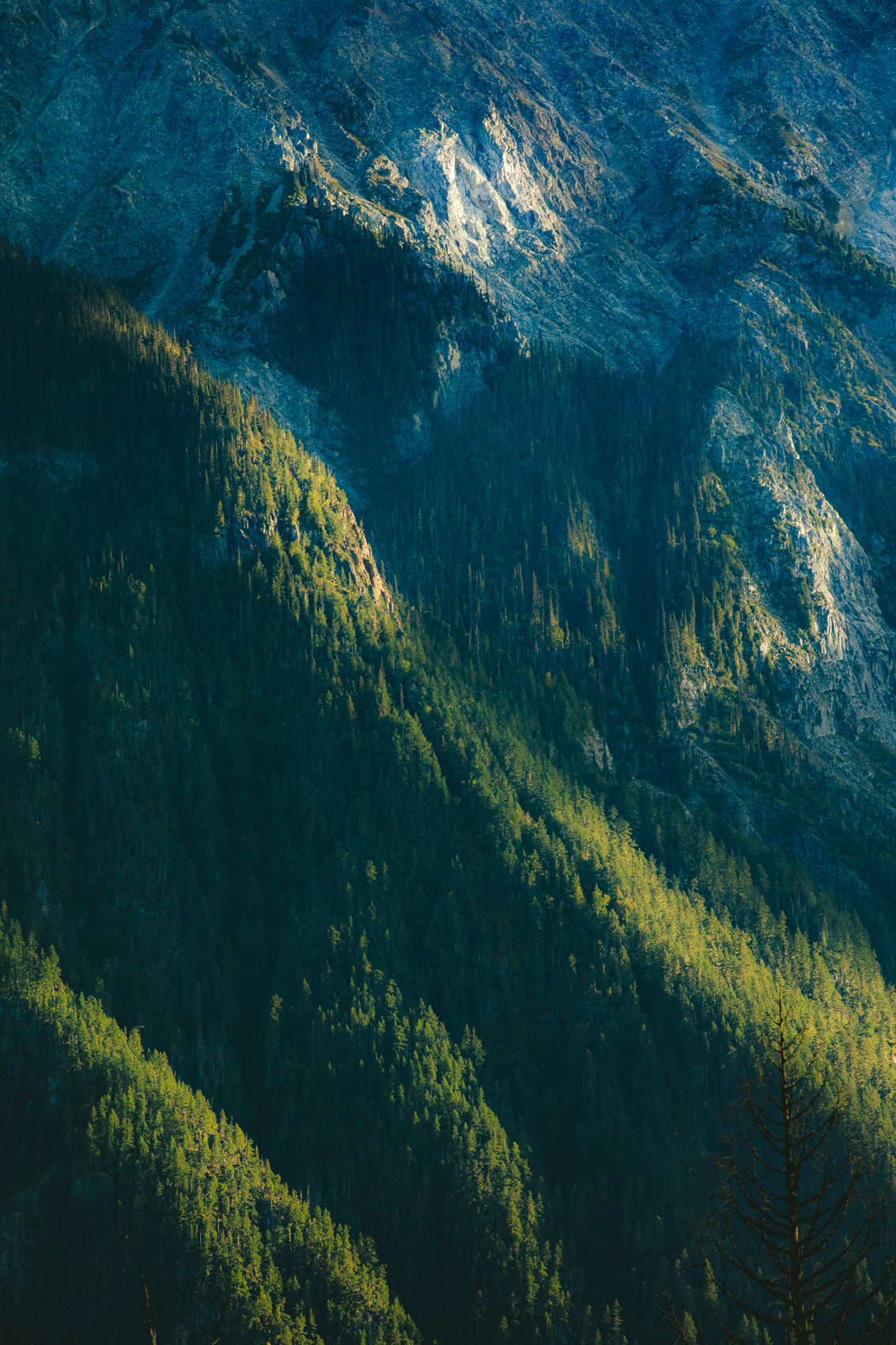 Sun Kiss (Mt. Currie)